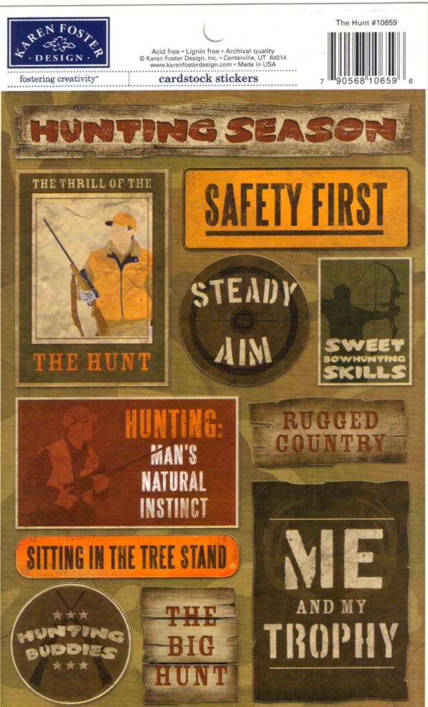 Karen Foster Cardstock STICKERS for Scrapbooking Choice