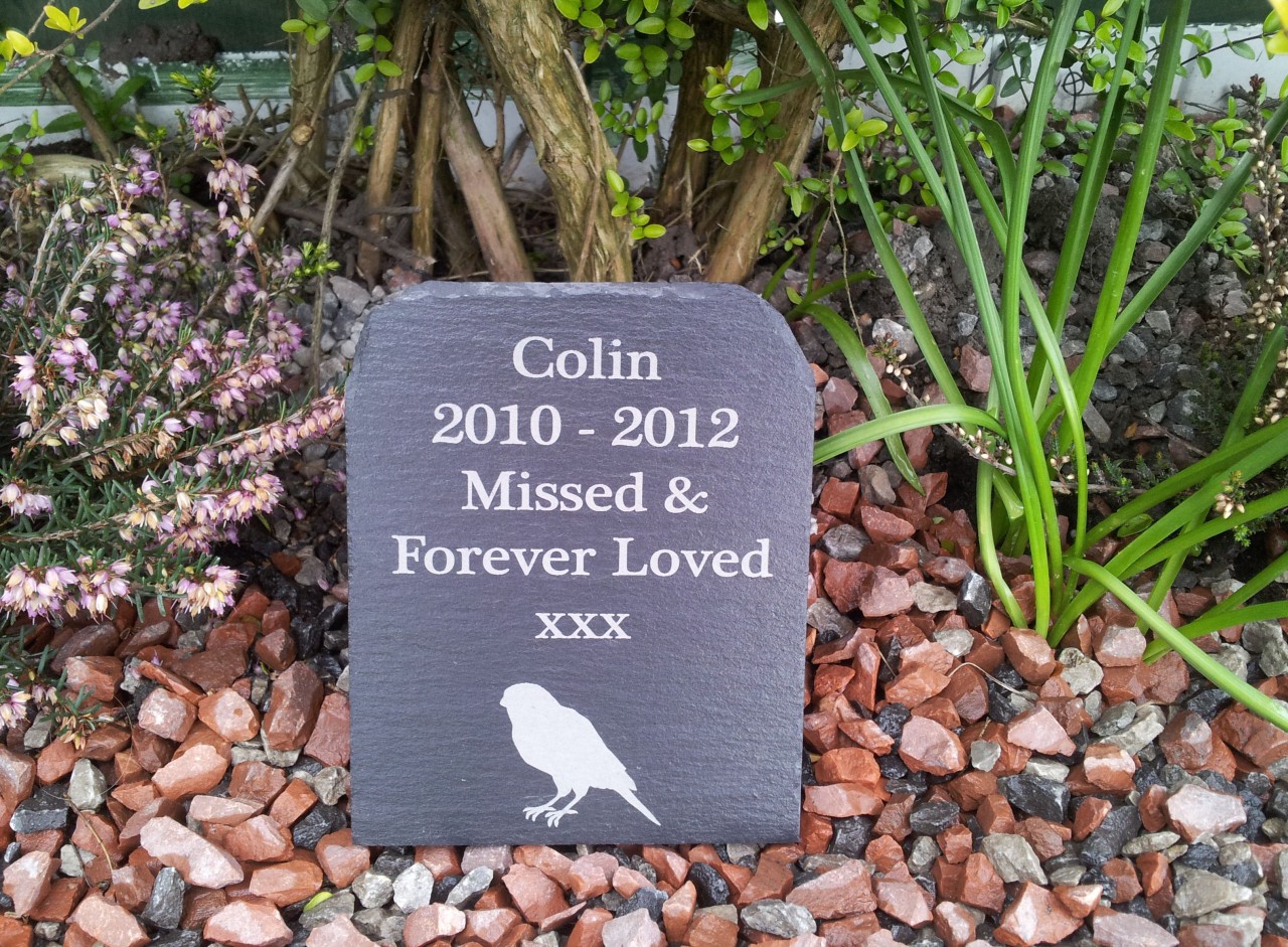 Natural Slate Pet Memorial Grave Marker Headstone 11cm x 14cm Small Dog