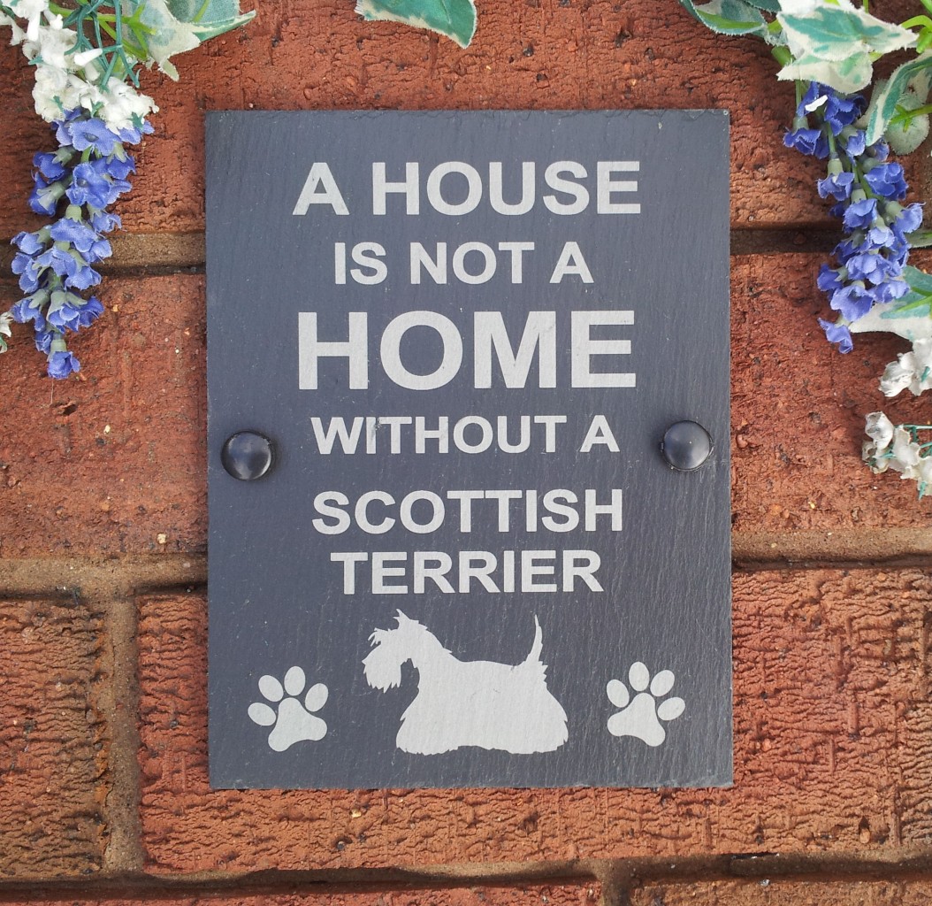 a house is not a home without a dog pillow