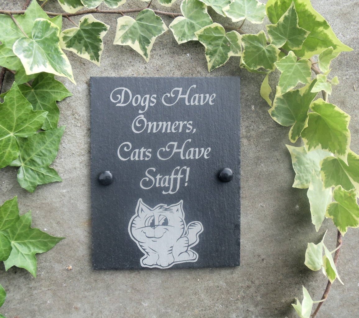Funny Natural Slate Pet Cat Plaque Sign 11 Designs Ideal Gifts For Cat