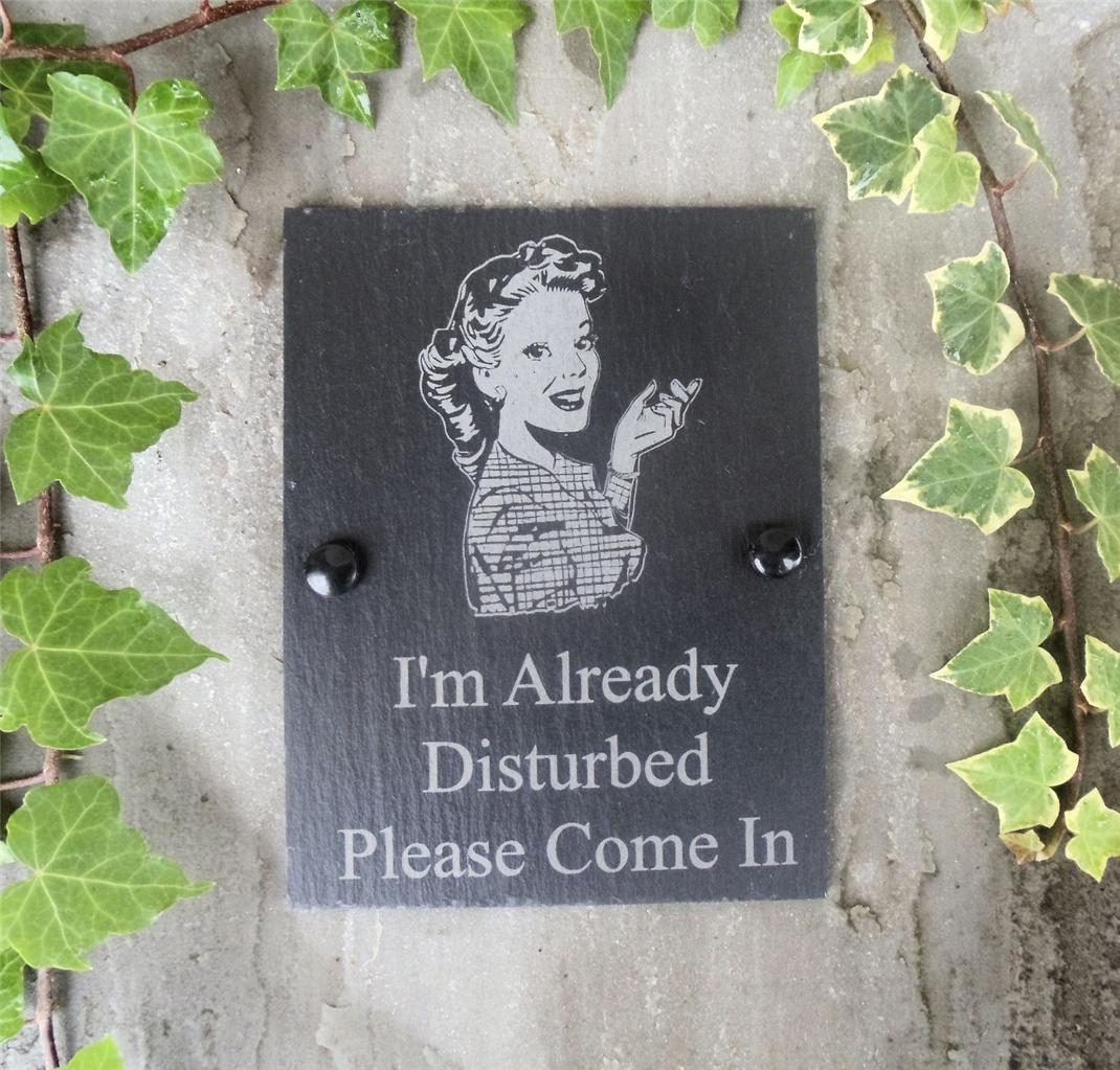 Funny Natural Slate Retro Style Office Home or Garden Plaque Sign