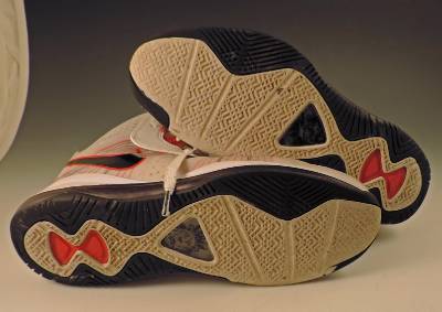 lebron james flywire