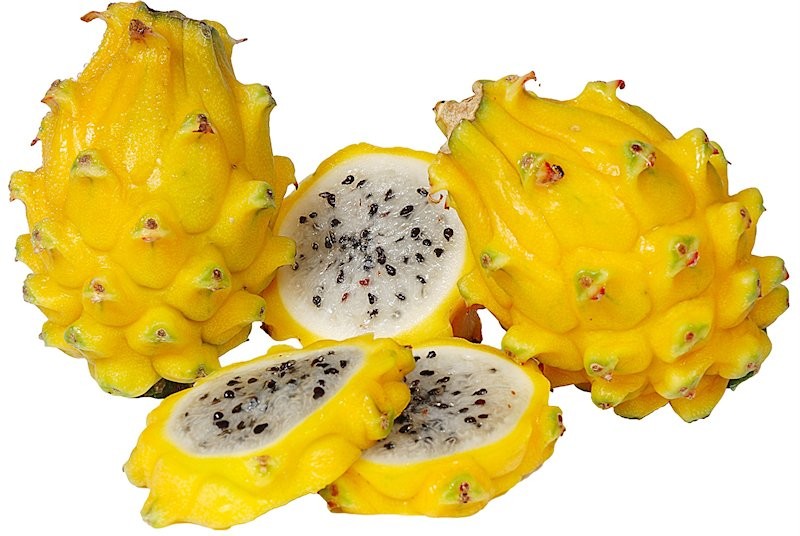 YELLOW PITAYA SEEDS - Hylocereus megalanthus Dragon Fruit Exotic ...