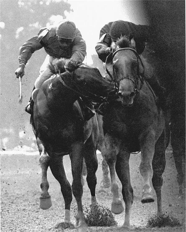 Original "The Savage" Horse Racing Photo Eclipse 11x14 eBay