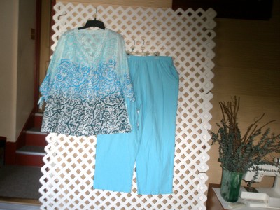 Fashion Clothing Store on Womens Plus Sz Clothes 2 Pcs Fashion Bug Alfred Dunner Pants Sz 22w