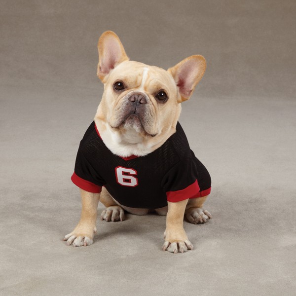 lebron dog jersey