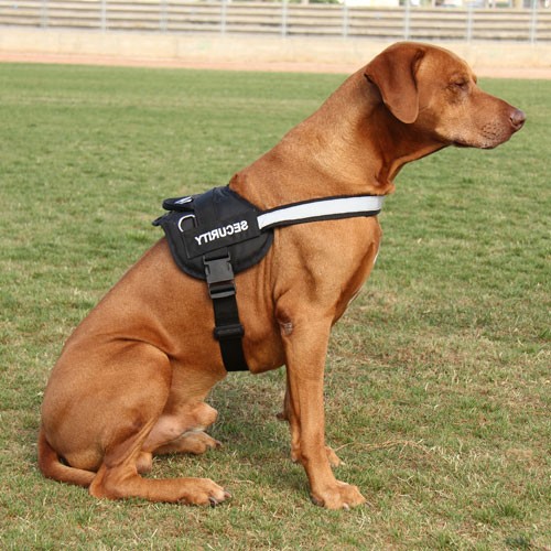 Easy Walk Harness for Rhodesian Ridgeback, new nylon reflective dog