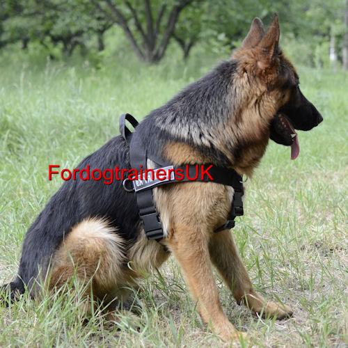 German Shepherd Harness for Sale Best Control Large Dog Harness Made of
