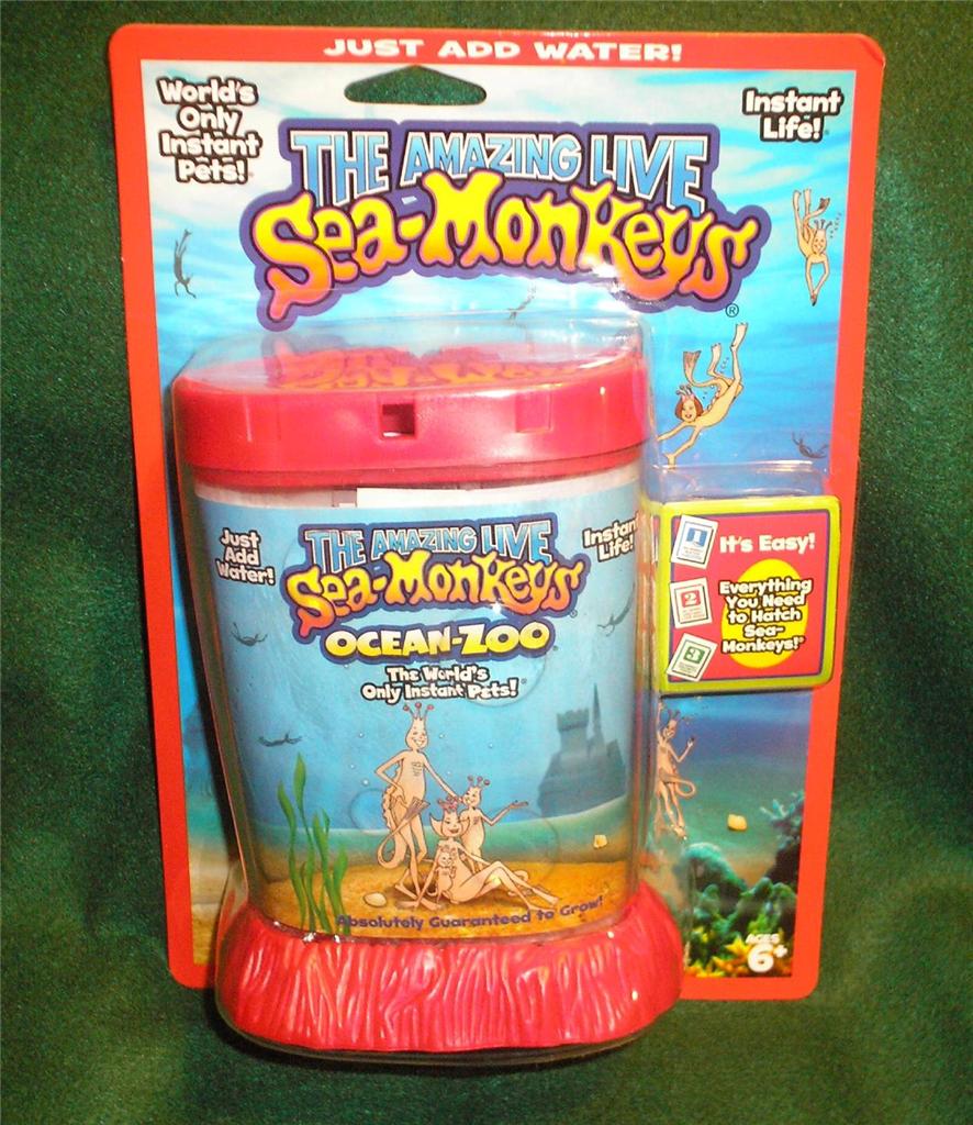 the amazing live sea monkeys ocean zoo