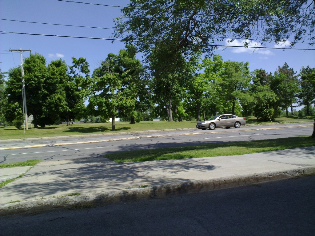 277562037_o.jpg