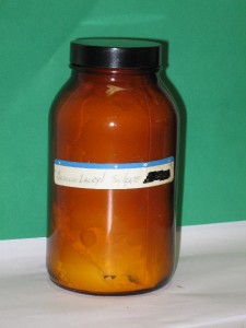 Sodium Lauryl Sulfate 500 g