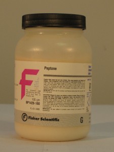 Peptone 100 g