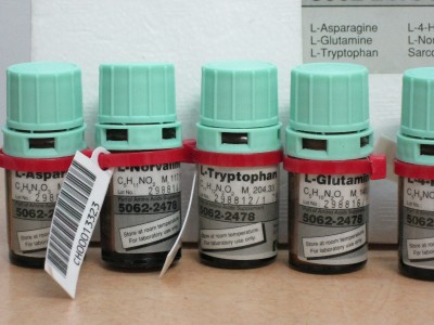 Amino Acid Supplements on Amino Acids Supplement L Asparagine L Glutamine L Tryoptophan