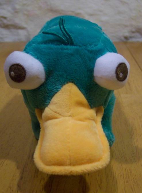 perry the platypus plush toy