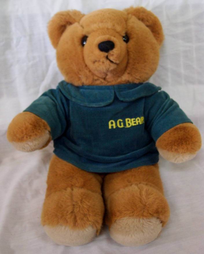 custom voice teddy bear