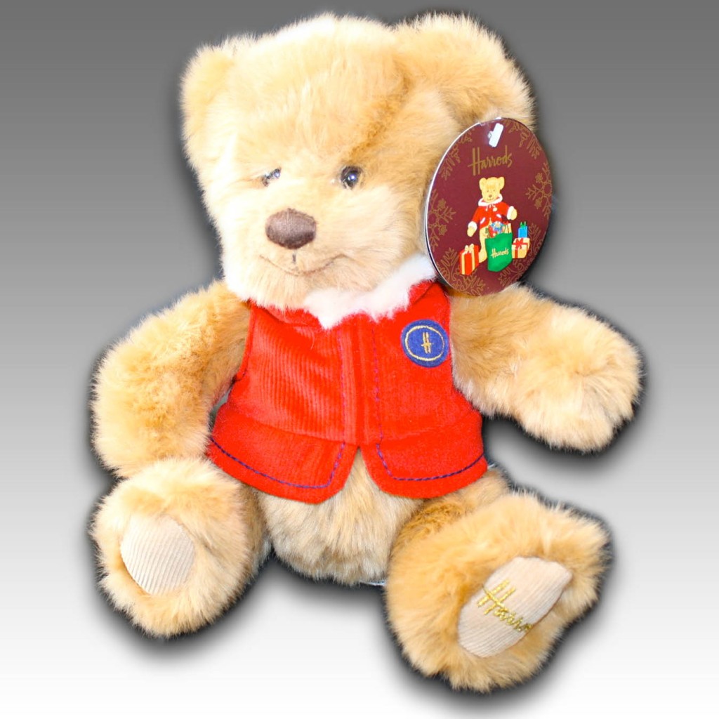 teddy bear dog real name