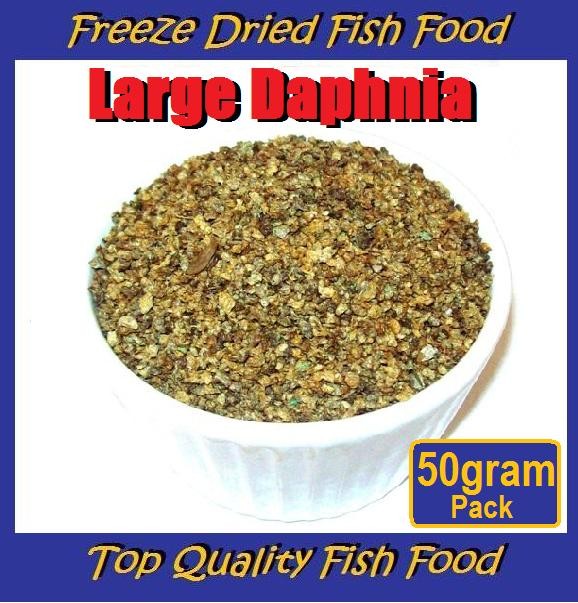 DAPHNIA LARGE SIZE, FREEZE DRIED FISH FOOD, 50g, Guppy,Angel ect, Free