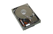 Free Image Hosting at www.auctiva.com