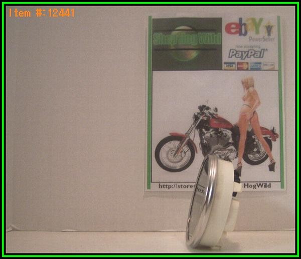 eBay Image Hosting at www.auctiva.com