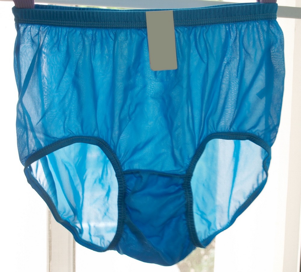 1960's VINTAGE STYLE NYLON PANTIES PANTY HIP3436 UNDERWEAR, LINGERIE