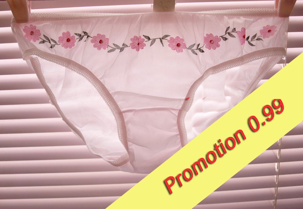 S VINTAGE STYLE NYLON PANTIES PANTY HIP UNDERWEAR LINGERIE EBay