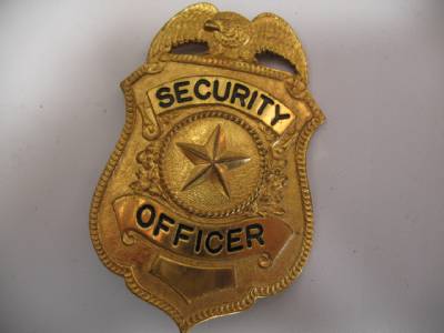 Obsolete Vtg Security Officer Eagle Star Badg