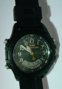 timex expedition wr100m price