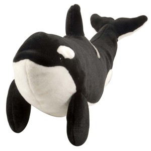 Orca Plush