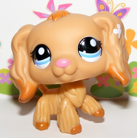 littlest pet shop cocker spaniel numbers