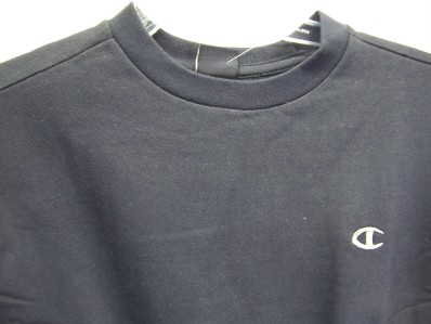 NWT CHAMPION Sweatshirts Boys Small Medium Large XL NEW | eBay