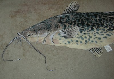 giant catfish body pillow
