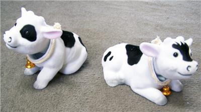 cow with toy car on head