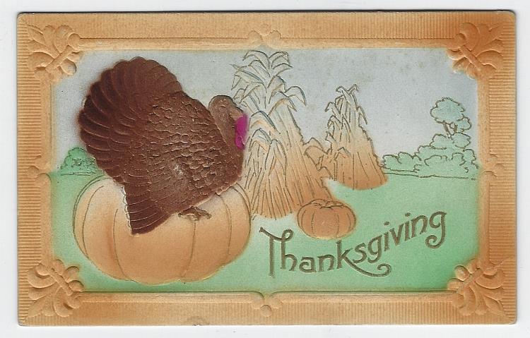 Postcard - Thanksgiving Postcard with Puffy Turkey on Pumpkin