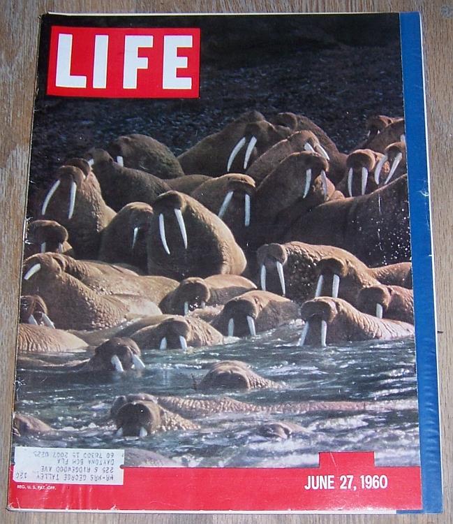 Life Magazine - Life Magazine June 27, 1960