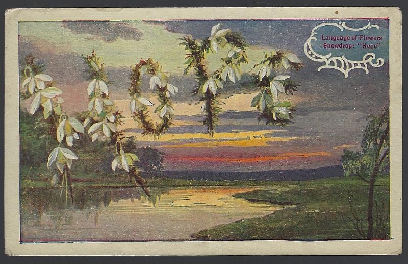 Postcard - Language of Flowers, Snowdrops, Hope