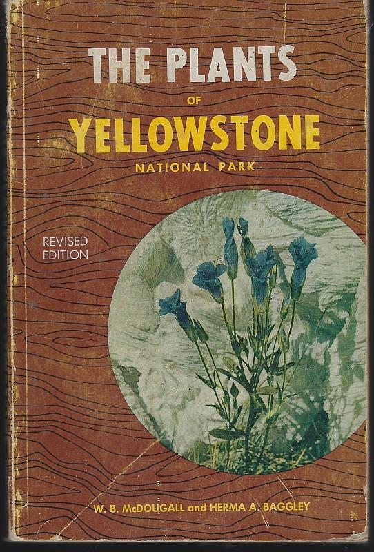 Image for PLANTS OF YELLOWSTONE NATIONAL PARK
