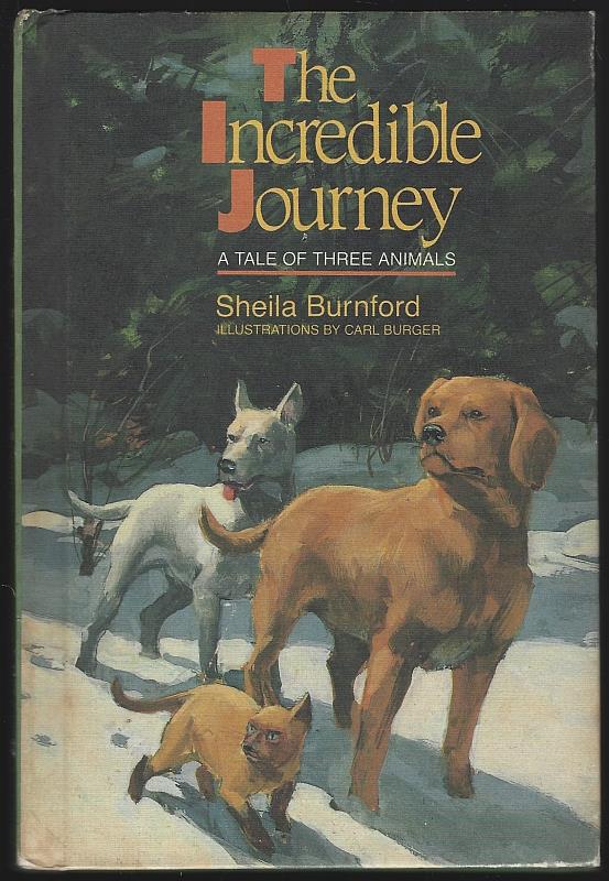 Image for INCREDIBLE JOURNEY A Tale Three Animals
