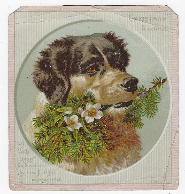 Greeting Card - Christmas Greetings Card with Dog and Evergreen Branch
