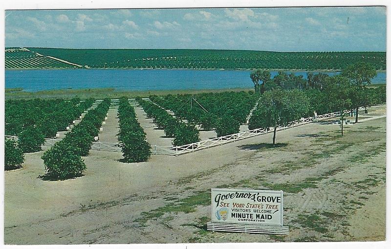 Postcard - Governors' Grove, Clermont, Florida