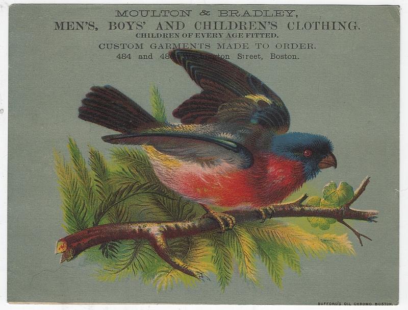 Advertisement - Victorian Trade Card for Moulton and Bradley Clothing Bird