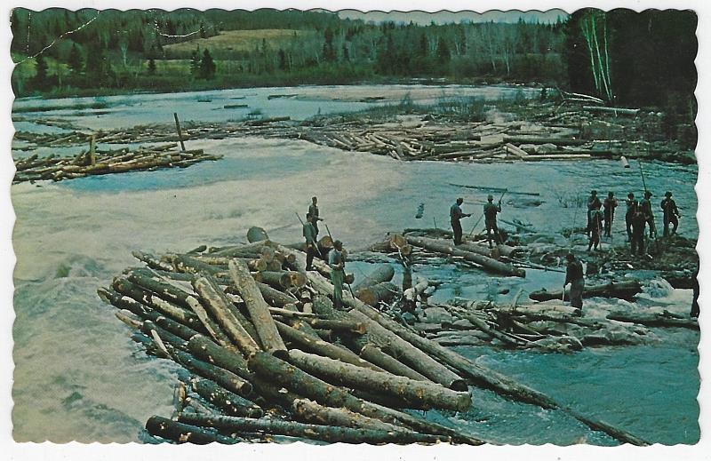Postcard - Spring Log Drive, White River, Thessalon, Ontario, Canada