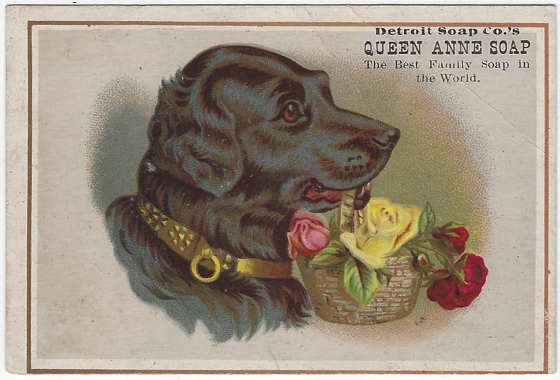 Advertisement - Victorian Trade Card for Queen Anne Soap with Dog and Flower Basket