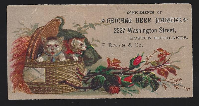 Advertisement - Victorian Trade Card for Chicago Beef Market, Boston Highlands, Massachusetts
