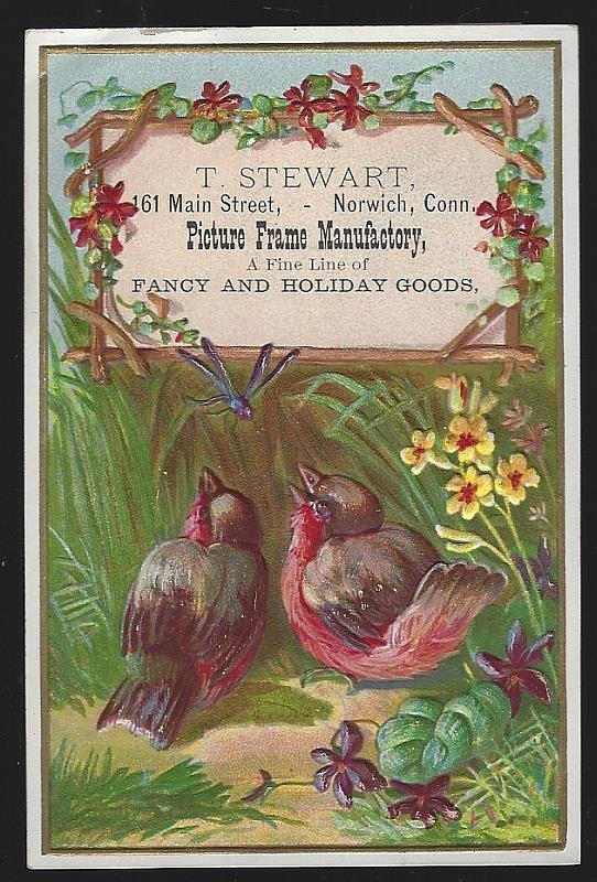 Advertisement - Victorian Trade Card for T. Stewart Picture Frame Manufactory, Norwich, Connecticut with Birds and Flowers