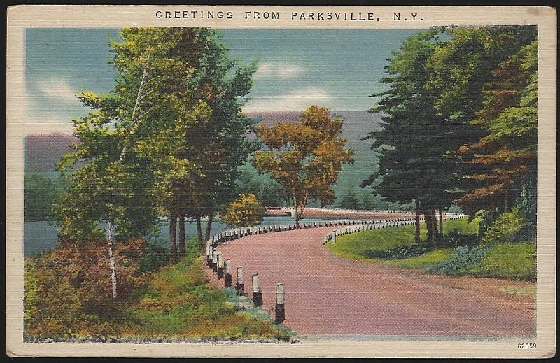 Postcard - Greetings from Parksville, New York