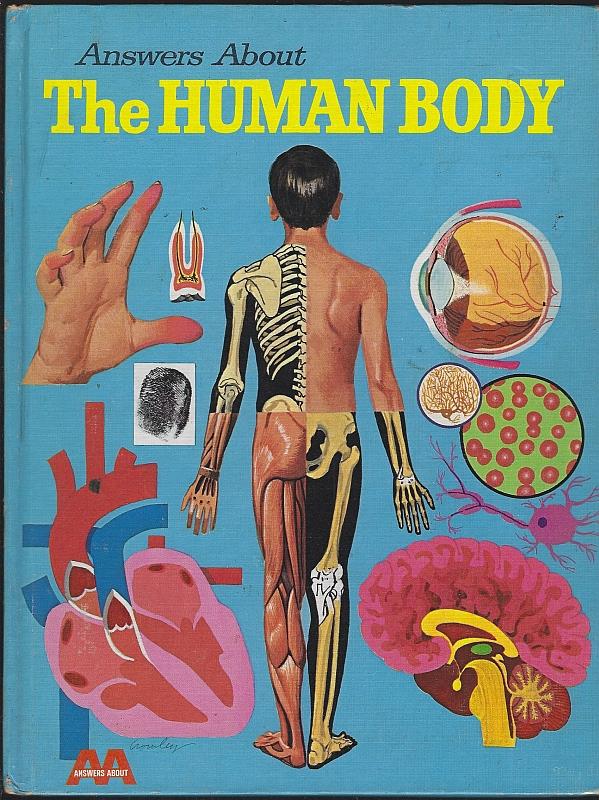 Smithline, Frederick - Answers About the Human Body