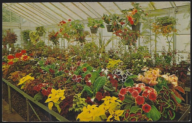 Postcard - Greenhouse, Kingwood Center, Mansfield, Ohio