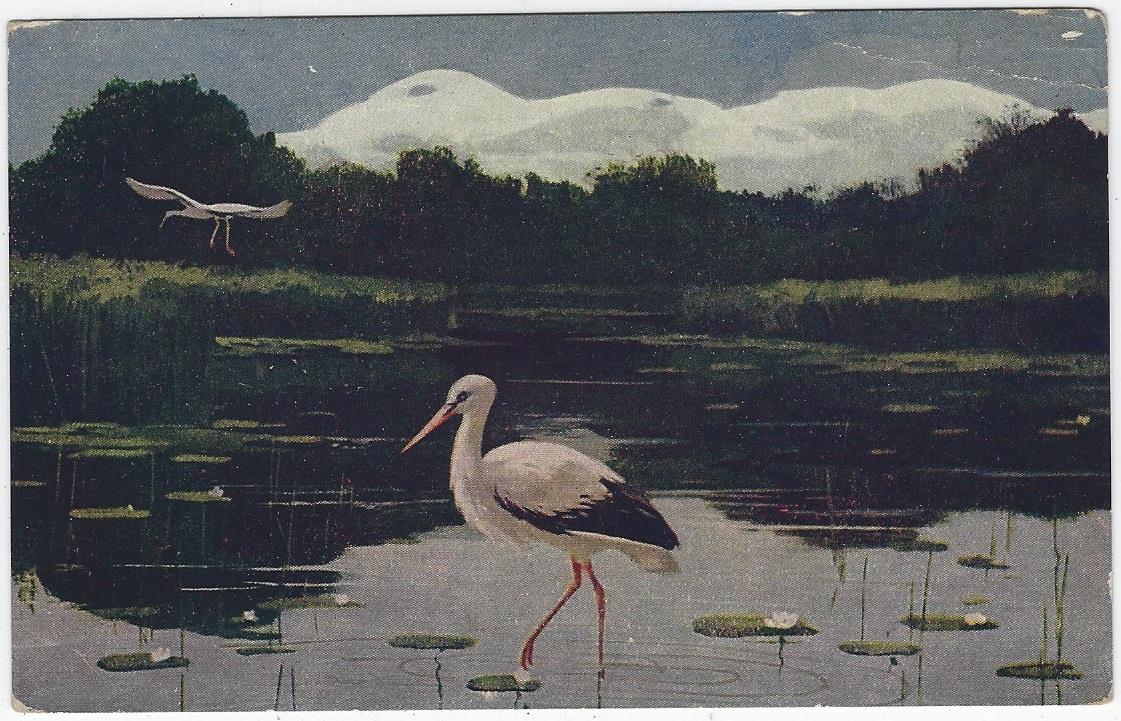 Postcard - Artist Postcard Storks in Mountain Lily Pond