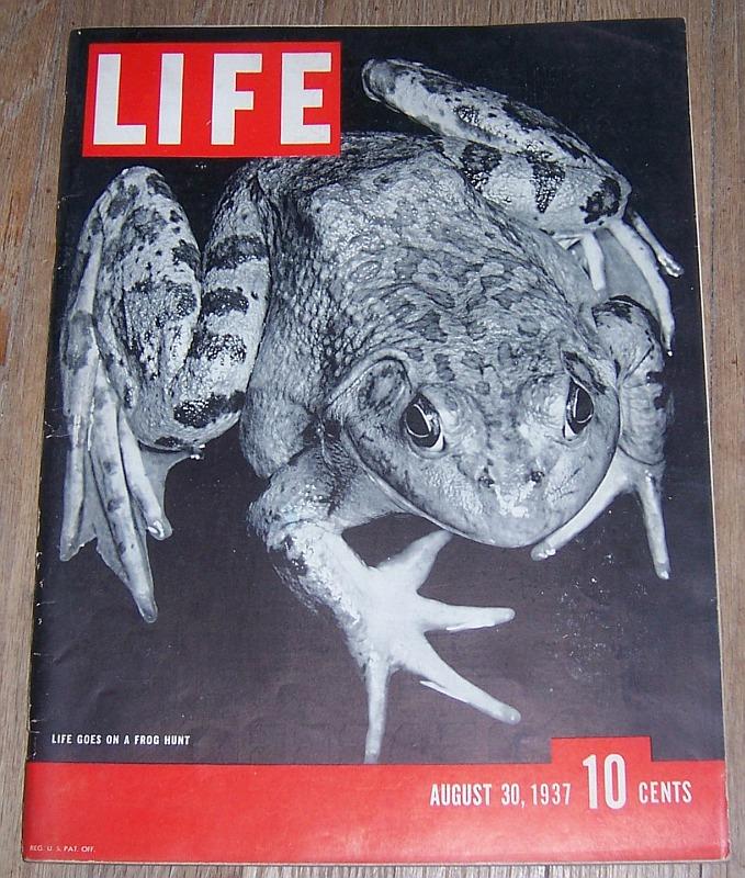 Life Magazine - Life Magazine August 30, 1937