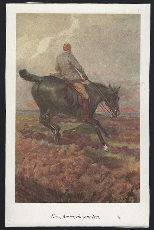 NOW, AUSTER DO YOUR BEST LUCY KEMP-WELCH BLACK BEAUTY ILLUSTRATION